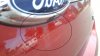 SHO_Rust_Trunk.jpg