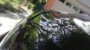 0720151529e.jpg