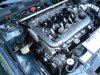 Taurus SHO 017 Mini