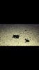 9ABC7398-7B1F-4873-9865-4DC4883E54AC.png