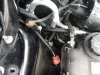 IMG_20200418_170232518.jpg