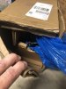 IMG 0808