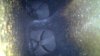 A35DC9A7 8984 4AD1 8F83 A54099D0732E