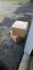 Resized Resized 20201005 141408