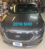 2016 SHO.jpg