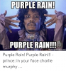 Purple rain purple rain edt memegenerator net purple rain purple rain 53667372
