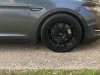IMG 1013 IMG 1013