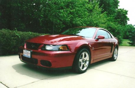 03 Stang 03 Stang