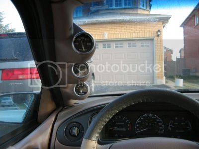 IMG 3294