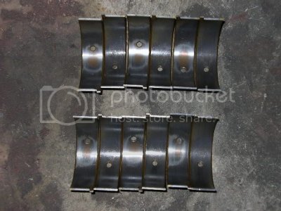 SHOpics1128