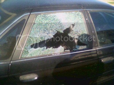 Brokenwindow2