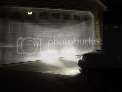 Webjustfogs2