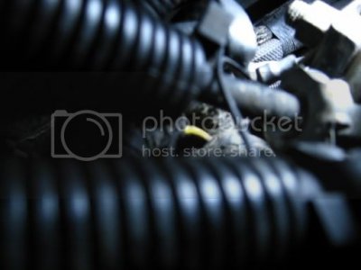 Picture Picture