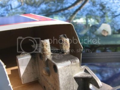 IMG 0293