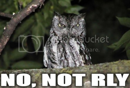 No not rly owl