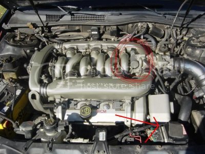 Motor