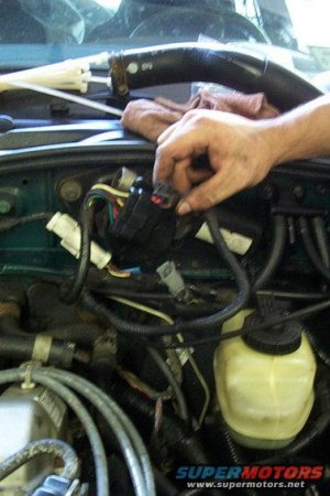 What is this plug 4 What is this plug 4