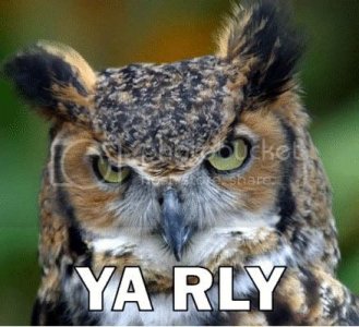 Owlyarly4rd