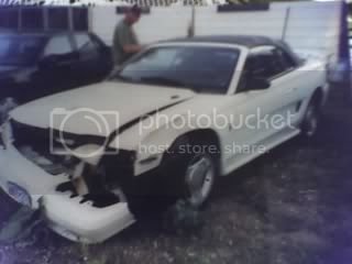 Mymustang1