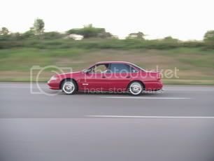 IMG 1101