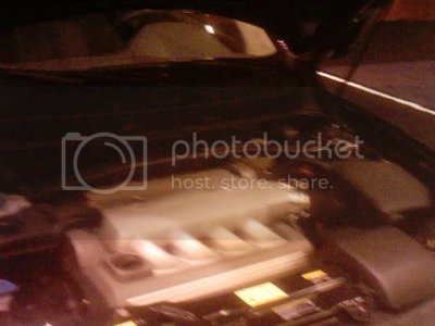 Img 0029