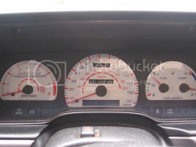 IMG 7259