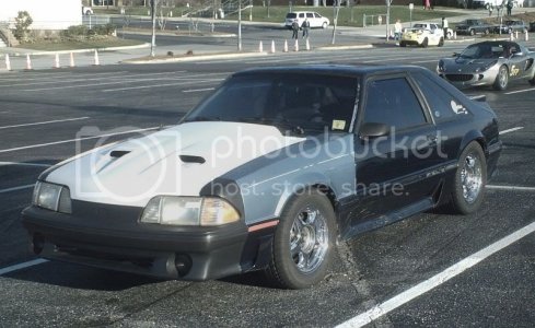 Stang