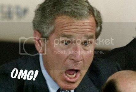 Omgbush