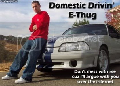 DomesticEthug