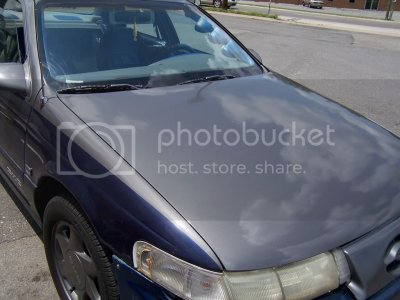 Picture071