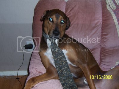 Picture081