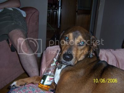 Picture078