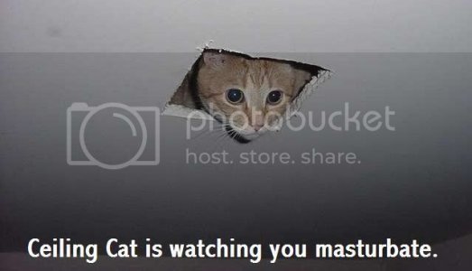 525ceilingcat8xm
