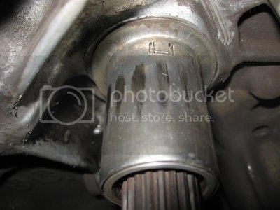 IMG 2047Medium IMG 2047Medium