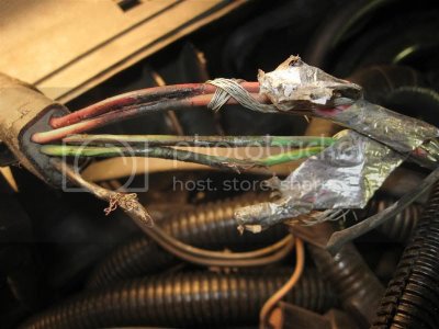 IMG 2186Medium