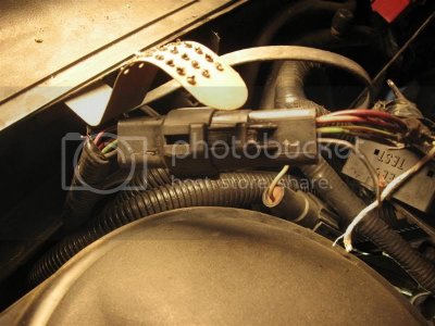 IMG 2178Medium