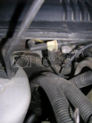 ScannedPhotos018