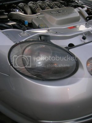 ScannedPhotos013