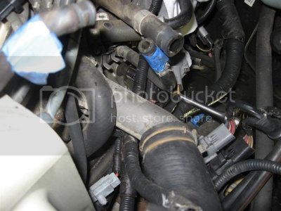 IMG 2006Medium