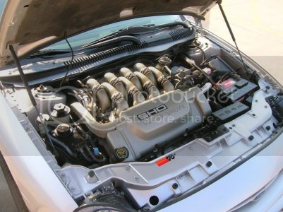 DSCN0858