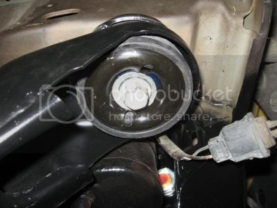 IMG 2720Small