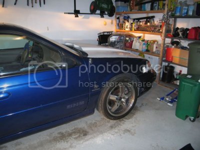 IMG 2645 IMG 2645