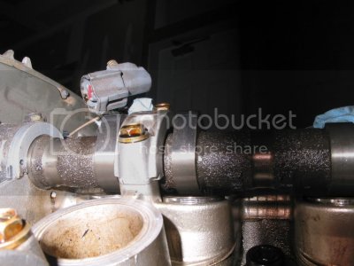IMG 0061