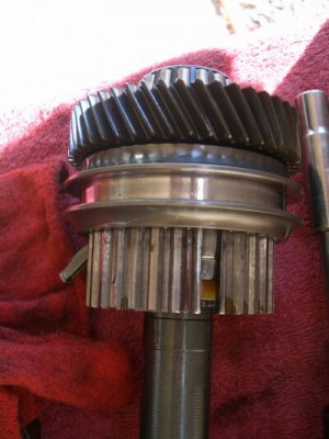 Tn CIMG1545