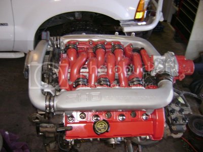 Picture1238