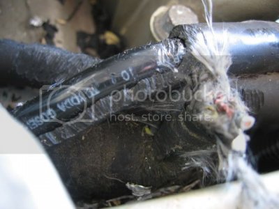 IMG 2305 IMG 2305