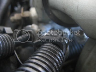 IMG 2302 IMG 2302