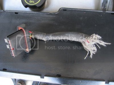 IMG 2296 IMG 2296