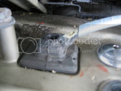 IMG 2310 IMG 2310