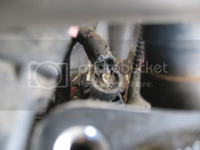 IMG 2313 IMG 2313